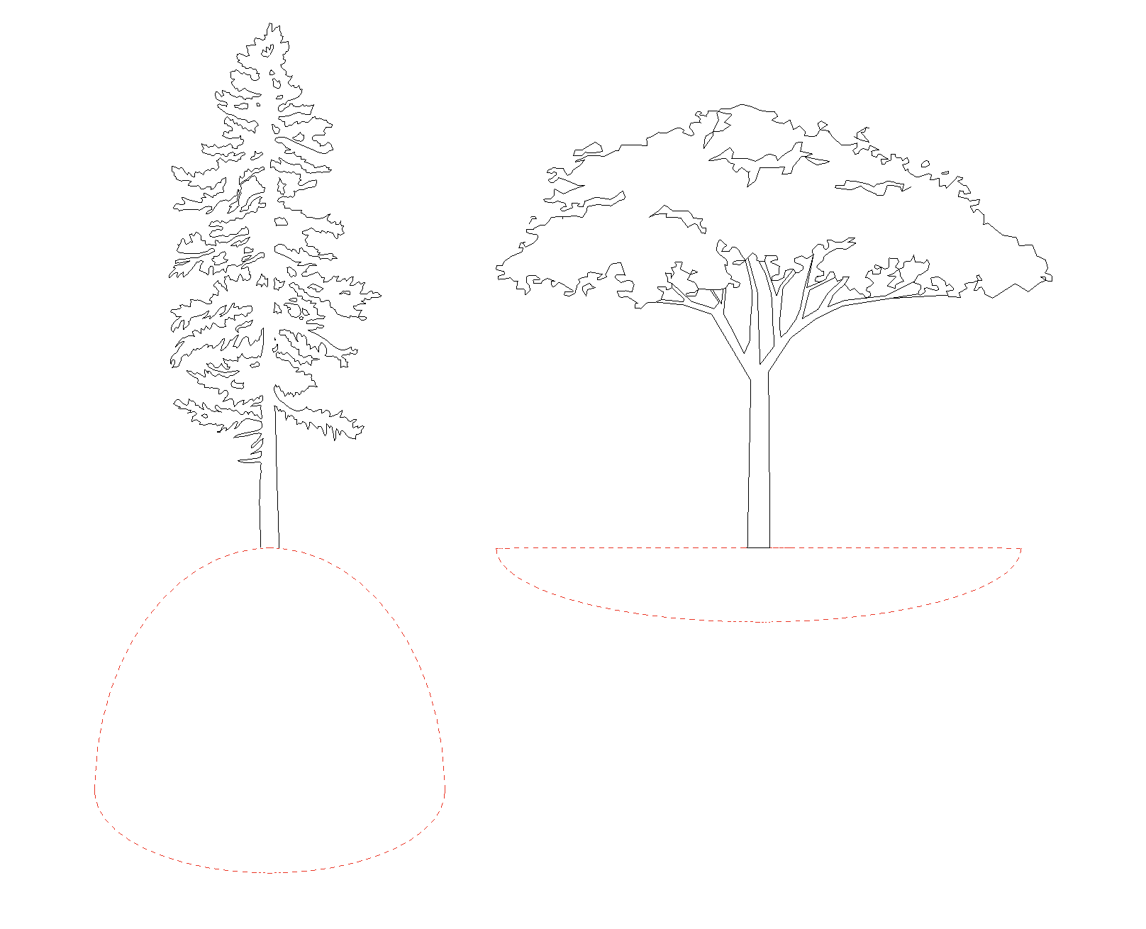 Revit elevation view of the critical root system shapes, lateral and oblique.