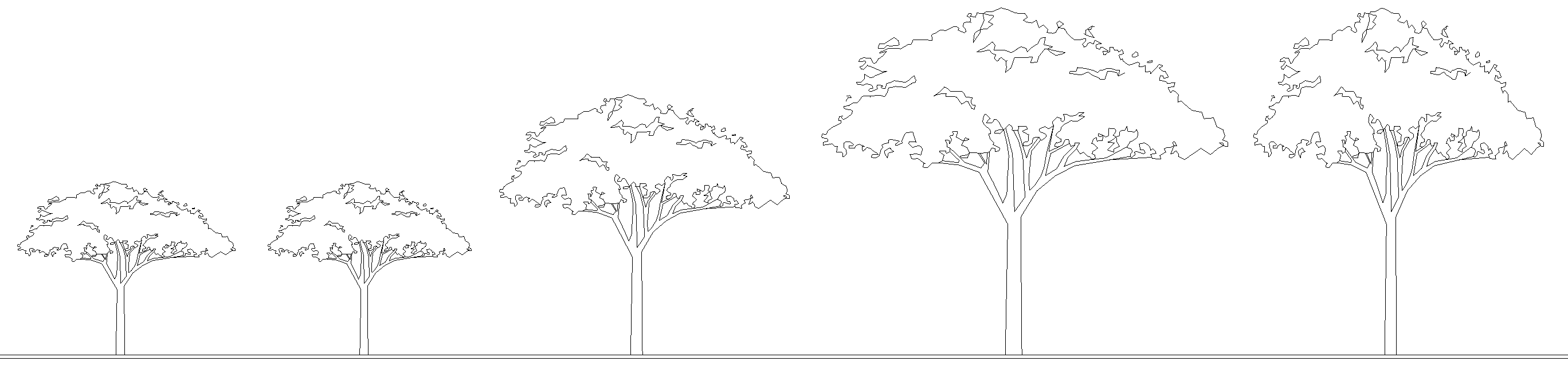 Revit elevation showing the scaling of crown diameter for umbrella trees.