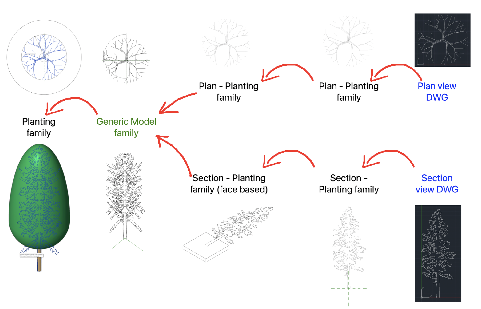 Diagram showing the relationship between an image of a Plan View DWG, Plan - planting family, generic model and ending with the planting family.