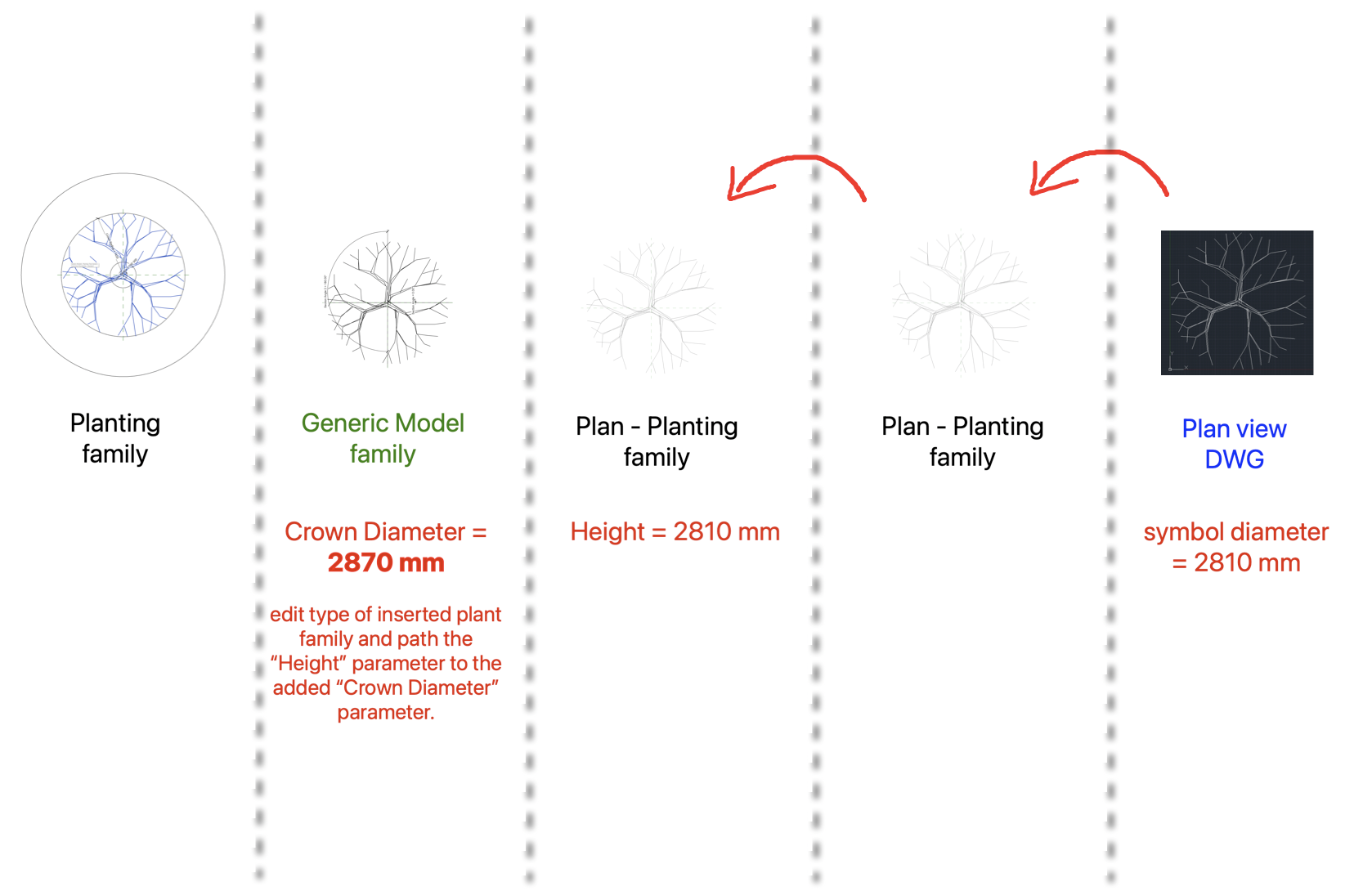 Diagram showing the relationship between an image of a Plan View DWG at 2810mm, Plan - planting family (height at 2810mm), generic model (crown diameter at 2870mm. Edit type of inserted plant family and path the 